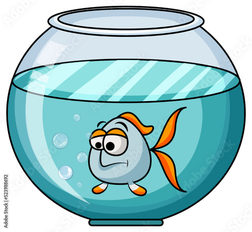 Round fish tank with a big eyed fish