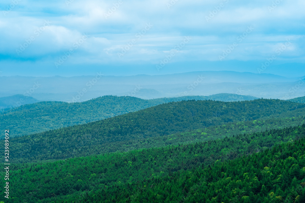 Fototapeta premium aerial view of wild wooded hills on a cloudy day