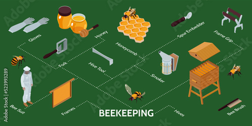Beekeeping Isometric Infographics