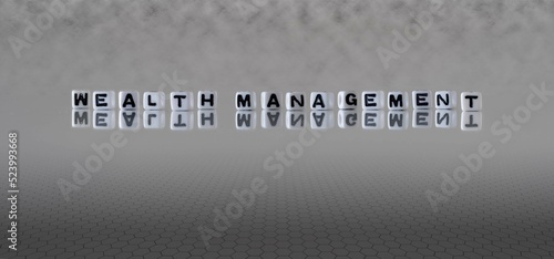 wealth management word or concept represented by black and white letter cubes on a grey horizon background stretching to infinity