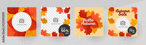 Social media hello autumn template design layout