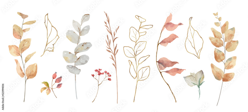 Watercolor vector set of autumn branches isolated on a white background. - obrazy, fototapety, plakaty 