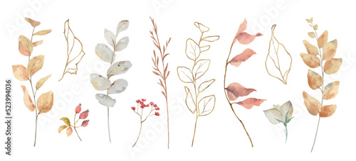 Watercolor vector set of autumn branches isolated on a white background. #523994036