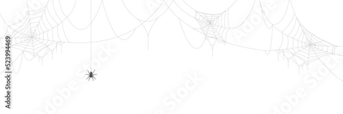 Vector illustration of spider web isolated on white background. photo