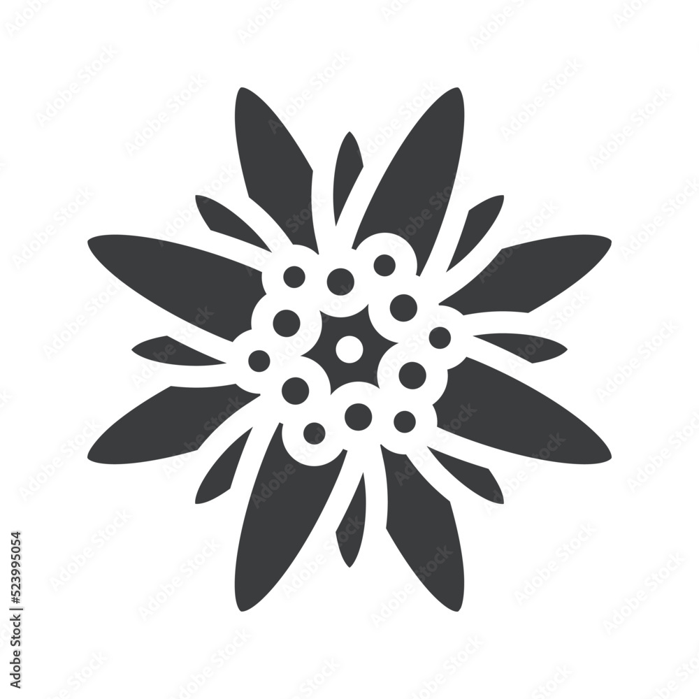Edelweiss Flower Icon Edelweiss Flower Icon
