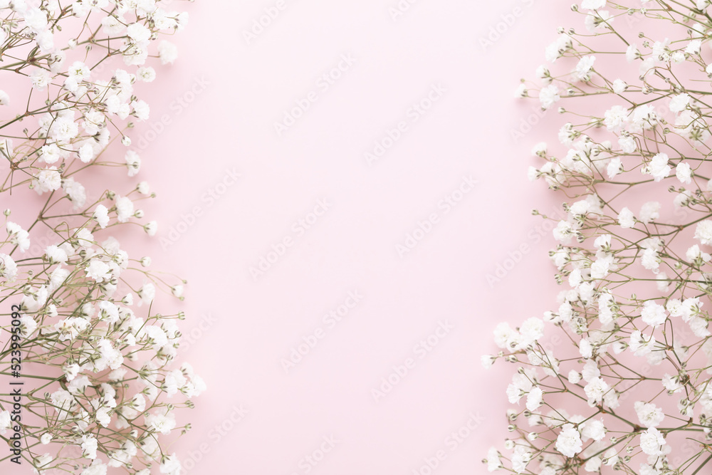 Fototapeta premium Beautiful flower background of pink gypsophila flowers. Flat lay, top view. Floral pattern.
