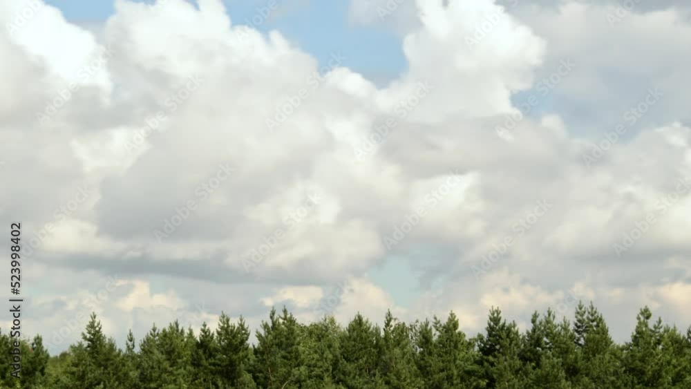 Time lapse with fast moving clouds over a pine forest Time lapse with fast moving clouds over a pine forest