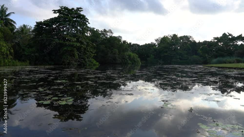 Beautiful lake, trees and clouds reflection on calm water. Peaceful early morning nature atmosphere. Panning shot Beautiful lake, trees and clouds reflection on calm water. Peaceful early morning nature atmosphere. Panning shot