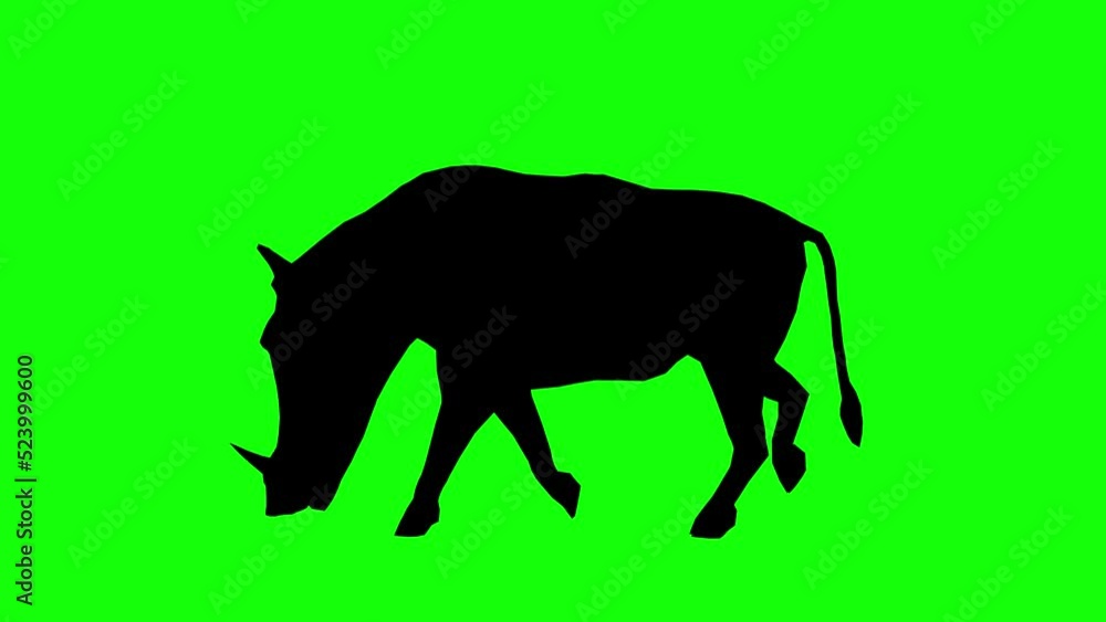 Silhouette of a warthog walking on green screen, side view. Animal silhouettes seamless loop 3D animation. Silhouette of a warthog walking on green screen, side view. Animal silhouettes seamless loop 3D animation.
