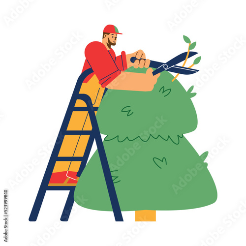 Male gardener trimming the tree with professional shears, flat vector illustration isolated on white background.