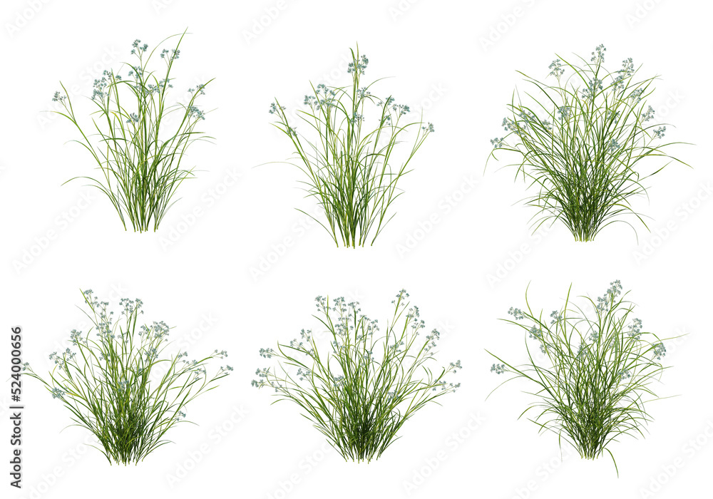 Shrubs and grass on a transparent background
Shrubs and grass on a transparent background