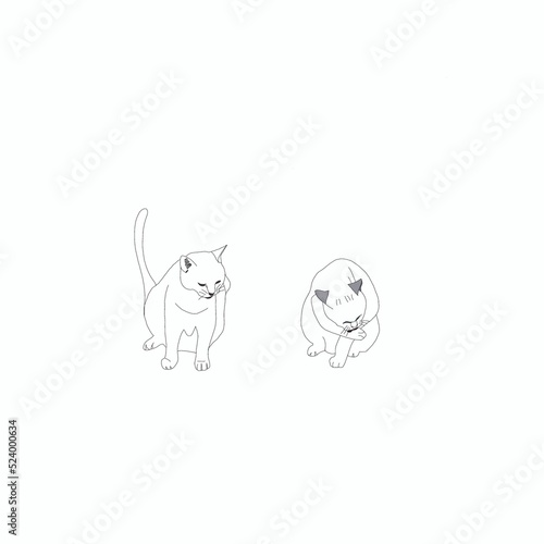cat and mouse