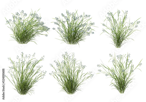 Shrubs and grass on a transparent background 