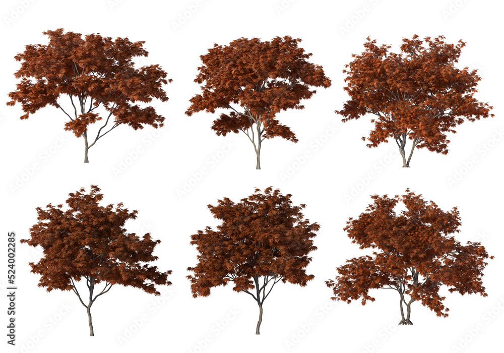 Fototapeta premium Autumn tree on a transparent background 