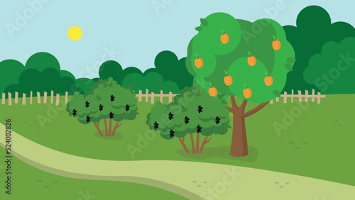 apricot tree and currant bushes