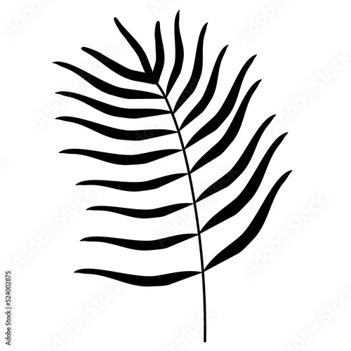 handdrawn doodle leaves png.