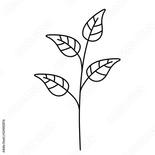 handdrawn doodle leaves png.