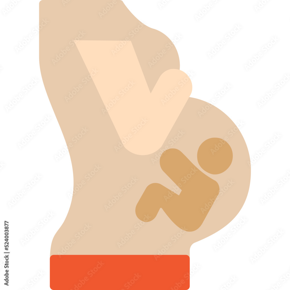 Pregnant Women Icon Pregnant Women Icon