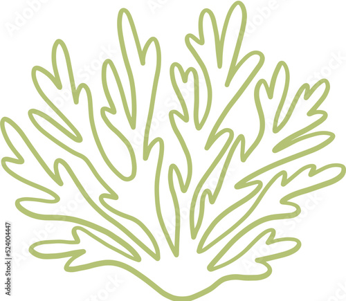 seaweed line art drawing