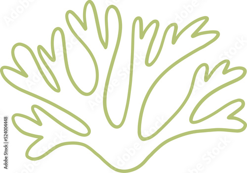 seaweed line art drawing