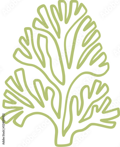 seaweed line art drawing