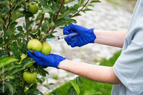 Farmer in blue gloves injects apple. Close capture. Genetically modified products concept