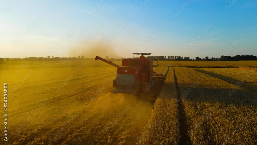 Harvester machine for harvesting wheat agricultural field working on golden ripe farmland. Concept of work in agronomic farm and production organic food Harvester machine for harvesting wheat agricultural field working on golden ripe farmland. Concept of work in agronomic farm and production organic food