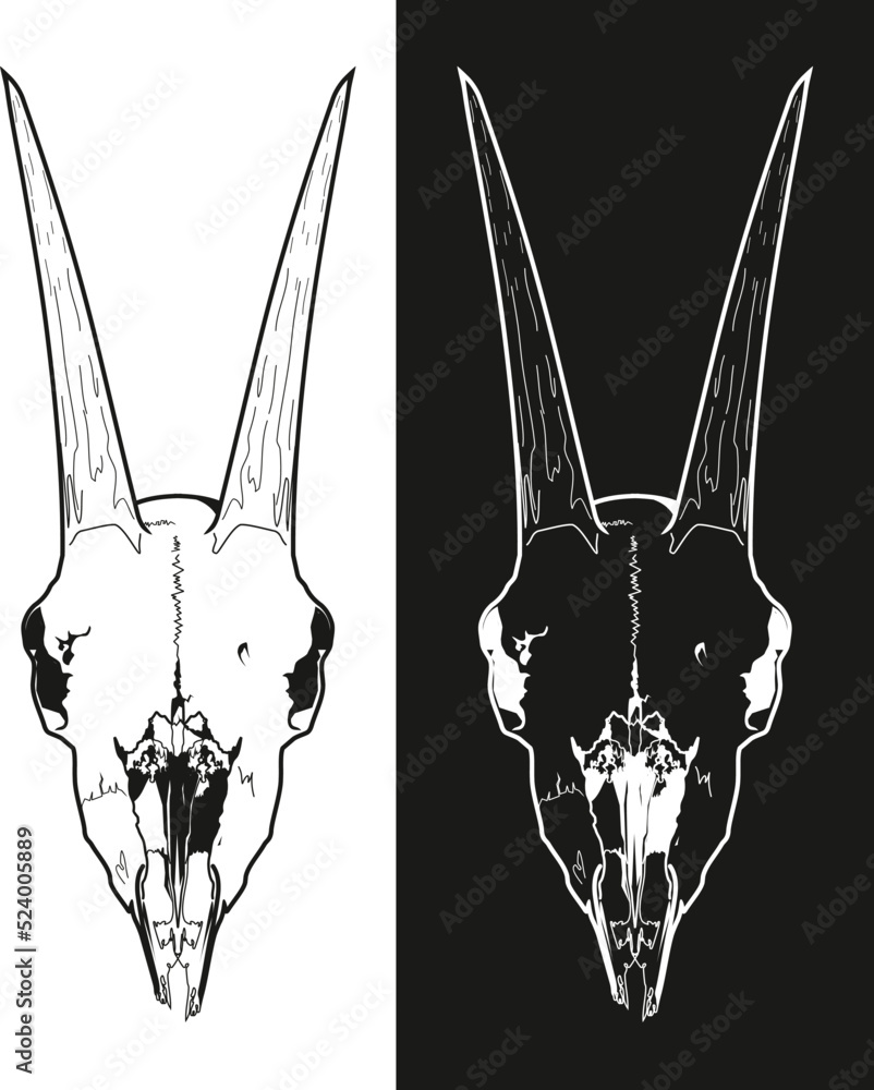 horned goat skull demonic religious symbol on white and black