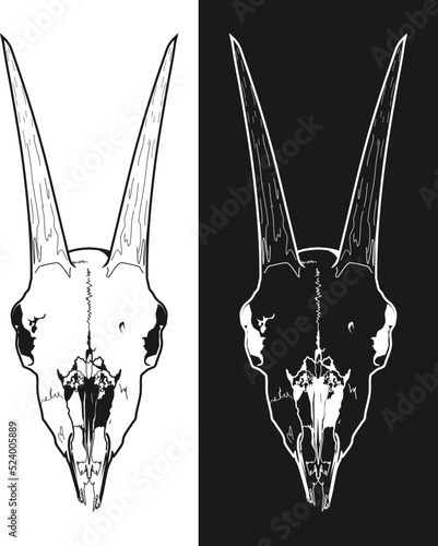 
horned goat skull demonic religious symbol on white and black background