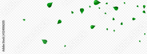 Lime Greens Spring Vector Panoramic Transparent