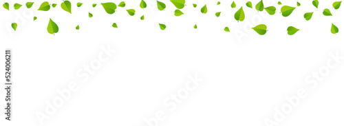 Swamp Greens Blur Vector Panoramic White