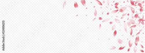 Light Lotus Vector Panoramic Transparent