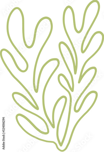 seaweed line art drawing