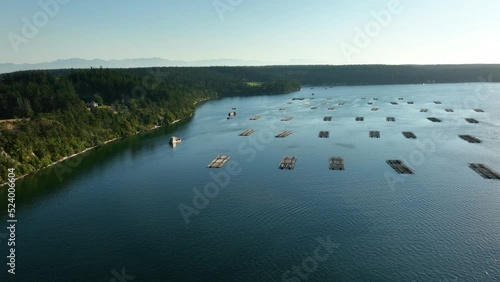 Wide sweeping aerial shot over the Penn Cove Mussel farm in Coupeville, WA. photo