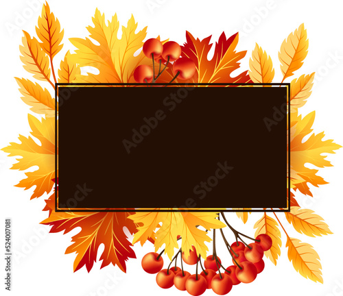 Autumn fall maple tree leaves with rowanberry frame