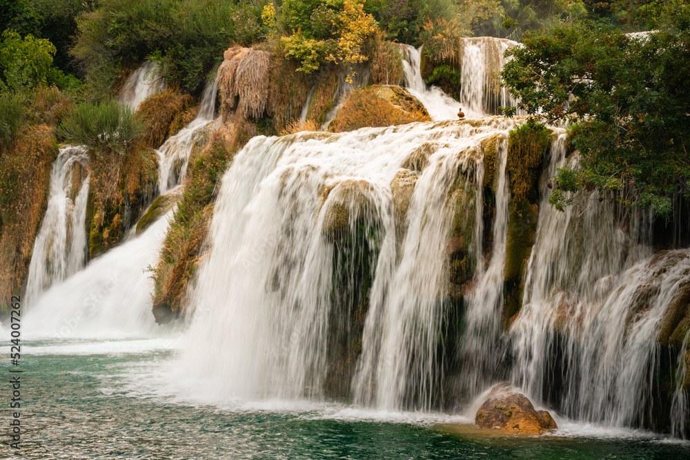 Obraz premium Roški Slap With Duck Bathing on Waterfall, Croatia