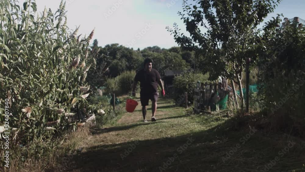 Full shot of a latin man walking forward through his yard with gloves and an orange bucket at daytime Full shot of a latin man walking forward through his yard with gloves and an orange bucket at daytime