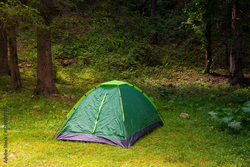 Green tent in the green summer forest