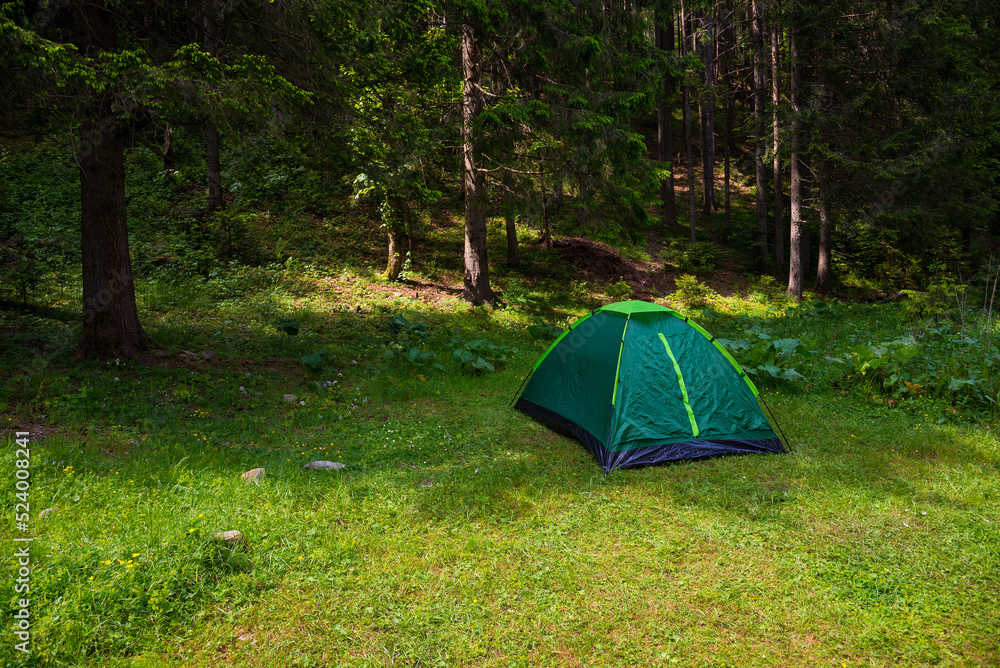 Tourist green tent on the background of forest in the foreground green grass. Camping and tent under the trees forest. Tourism concept. Man lives in the forest