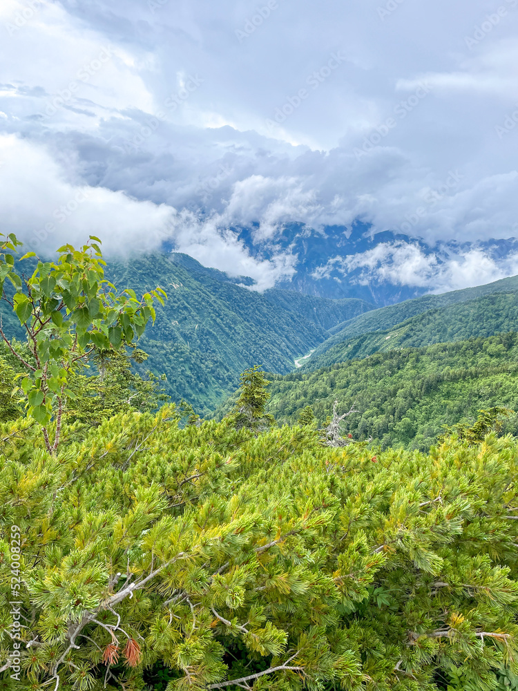鹿島槍ヶ岳 登山道 鹿島槍ヶ岳 登山道