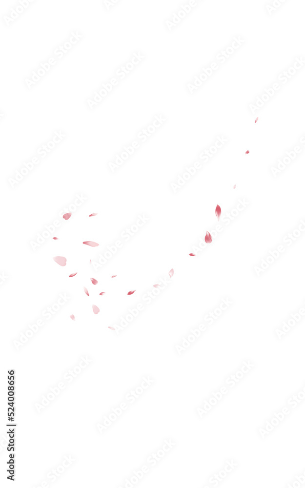 Pink Petal Beauty Vector White Background.