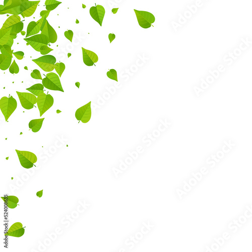 Green Greens Flying Vector White Background