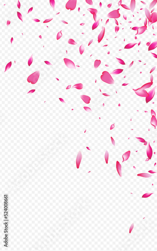 Beautiful Petal Japan Vector Transparent