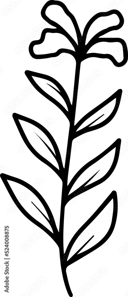 Element Flower Line Art
Element Flower Line Art