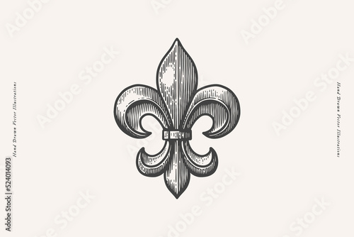 Naklejka na ścianę Royal lily flower in engraving style. Fleur de lis on a light isolated background. Heraldic symbol of royalty. Vintage vector illustration.