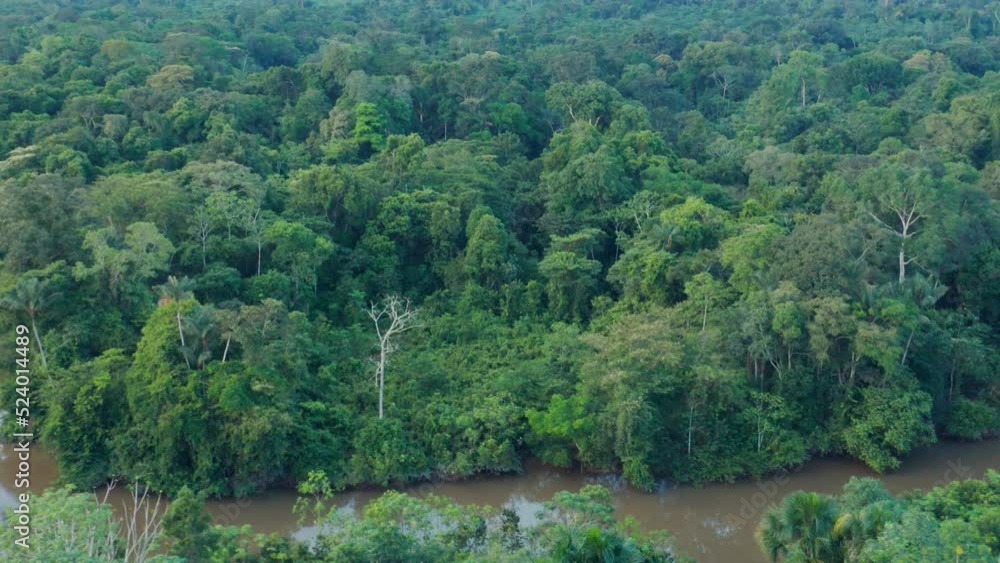 4k Aerial shot for amazon river and the rain forest in brazil rainforest.
shot on MAVIC 2 PRO hasselblad rendered prores 422HQ rec709 4k Aerial shot for amazon river and the rain forest in brazil rainforest.
shot on MAVIC 2 PRO hasselblad rendered prores 422HQ rec709