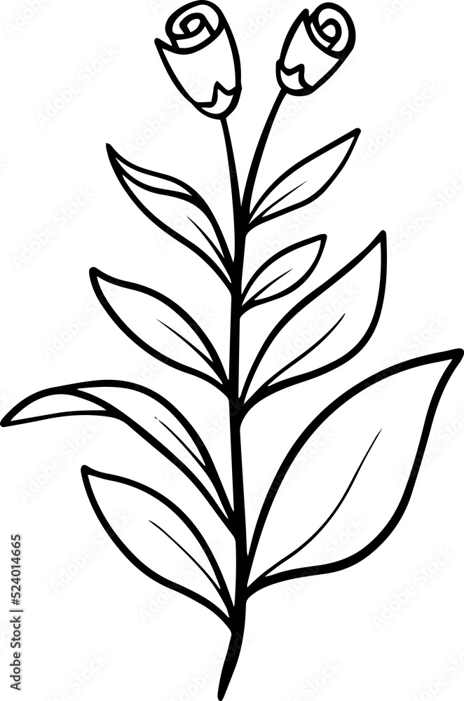 Floral Design Element
Floral Design Element