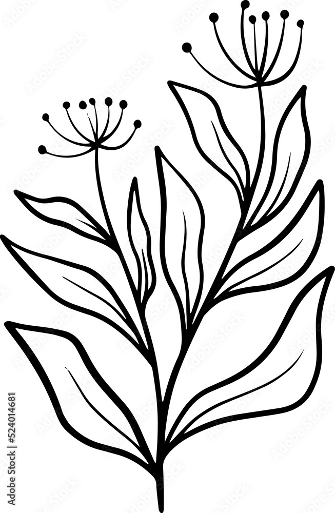 Flowers Sketch Line Art Illustration
Flowers Sketch Line Art Illustration