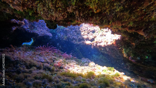 Underwater crystal clear coral reef cave with beautiful colours from sun rays and deep blue sea