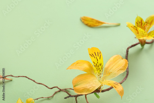 Composition with tree branc...